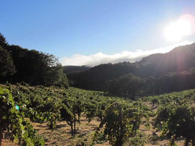 Mayacamas
