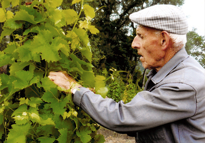 Early Greats: Marius Gentaz